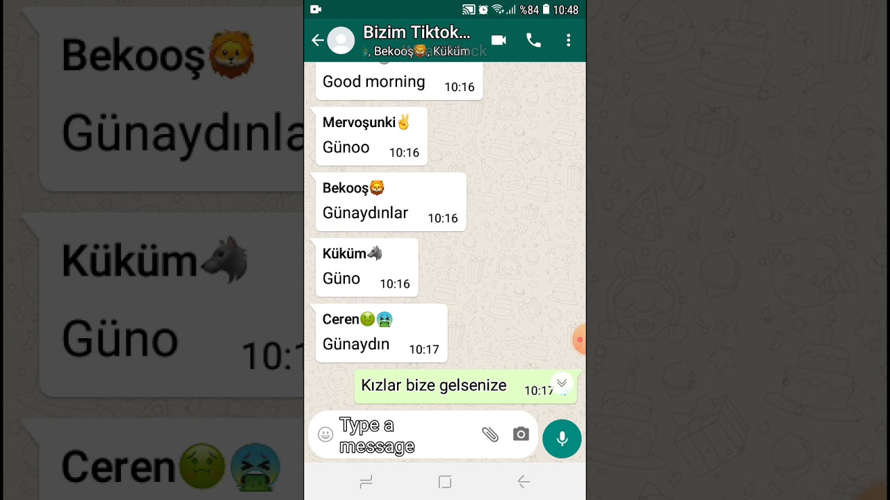 CemCel Whatsapp Grup Yazışmaları 2