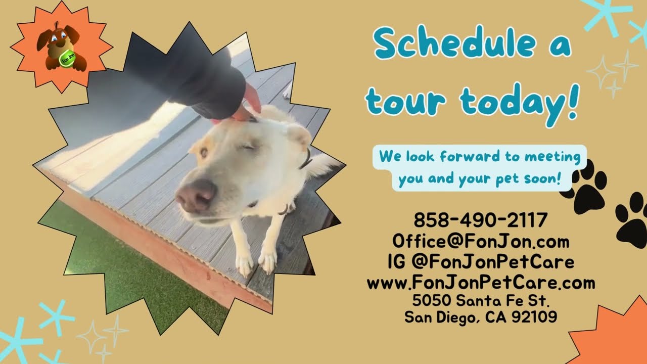 Fon Jon Pet Care ~ Take a look around with us!