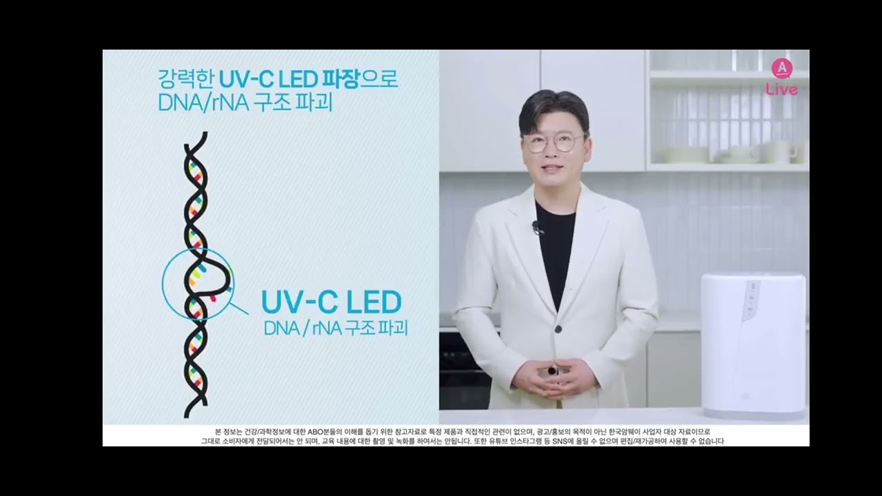 뉴이스프링의 모든것