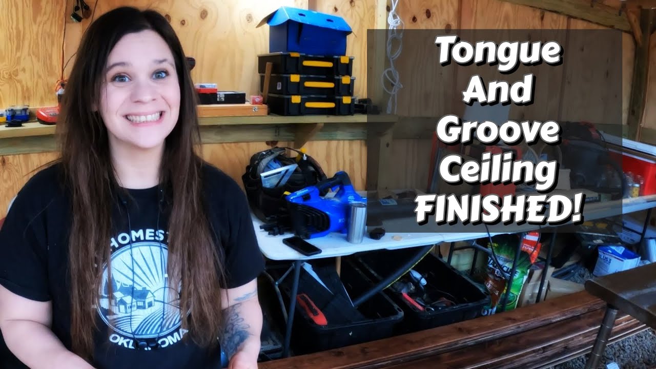 Shed To Cabin Ceiling TRANSFORMATION COMPLETE! | DIY | Shed To Cabin