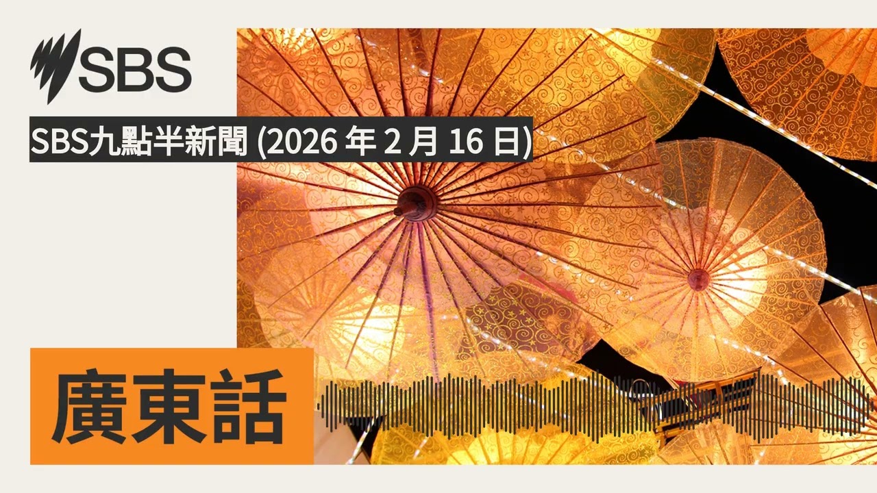 SBS九點半新聞 (2026 年 2 月 16 日) | SBS Cantonese - SBS廣東話節目