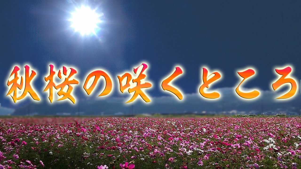 【栃木県益子町】秋桜フェスへの道のり～後編【幻想的な世界への入り口】
