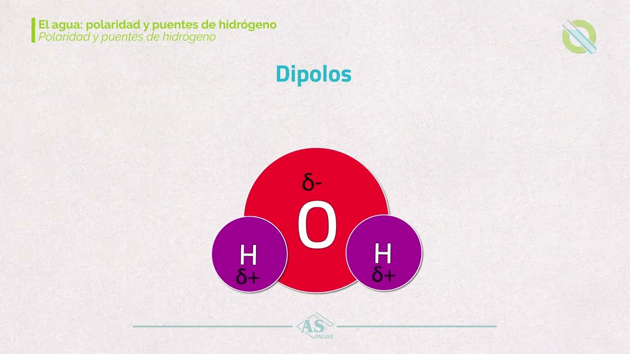 4 2 El agua polaridad y puentes de hidr&oacute;geno