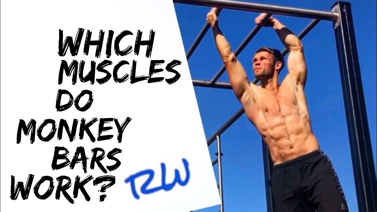 What Muscles do Monkey Bars work?
