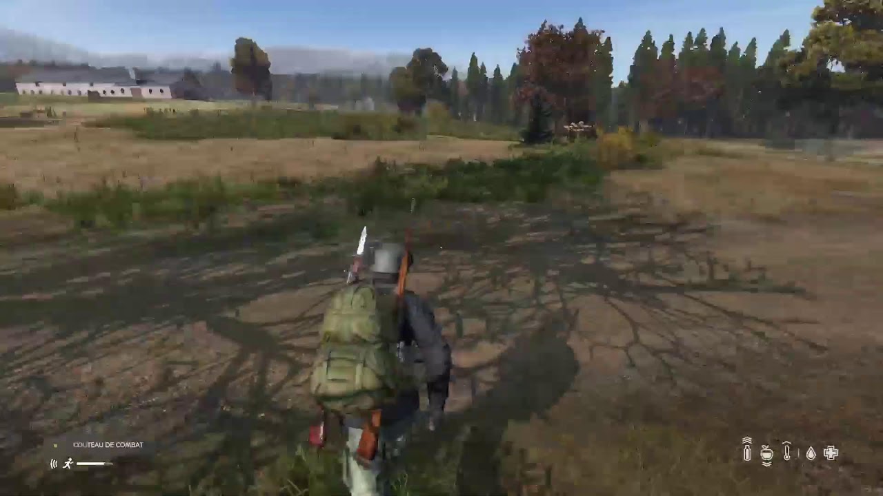 DayZ chill