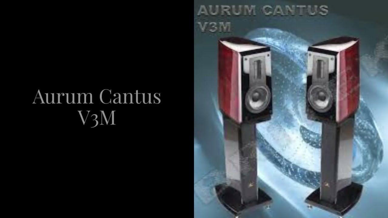 акустическая система Aurum Cantus V3M
