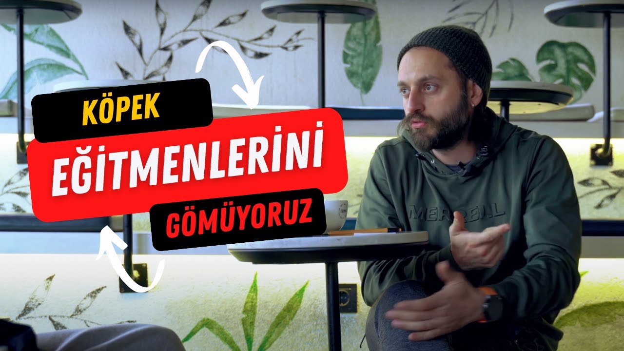 K&ouml;pek Eğitmeni Tercihimizi Neye G&ouml;re Yapmalıyız? - Evde K&ouml;pek Eğitimi mi &Ccedil;iftlikte K&ouml;pek Eğitimi mi?