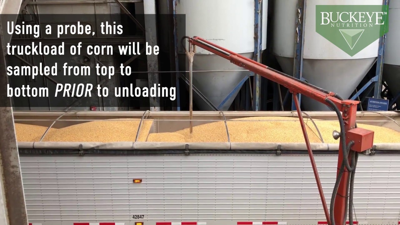 Grain Sampling for Quality & Nutrient Profile Analysis