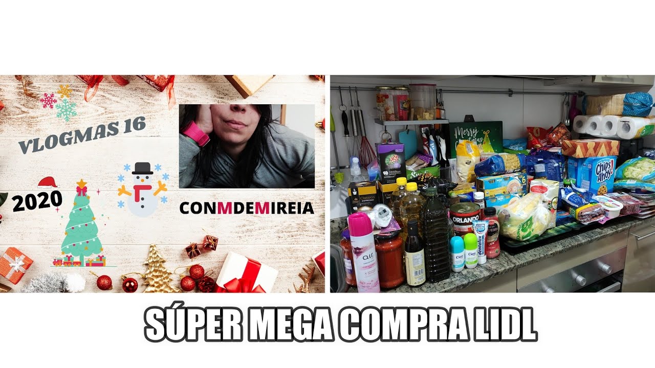 🛒SÚPER MEGA COMPRA MENSUAL EN LIDL CON PRECIOS👌🎄