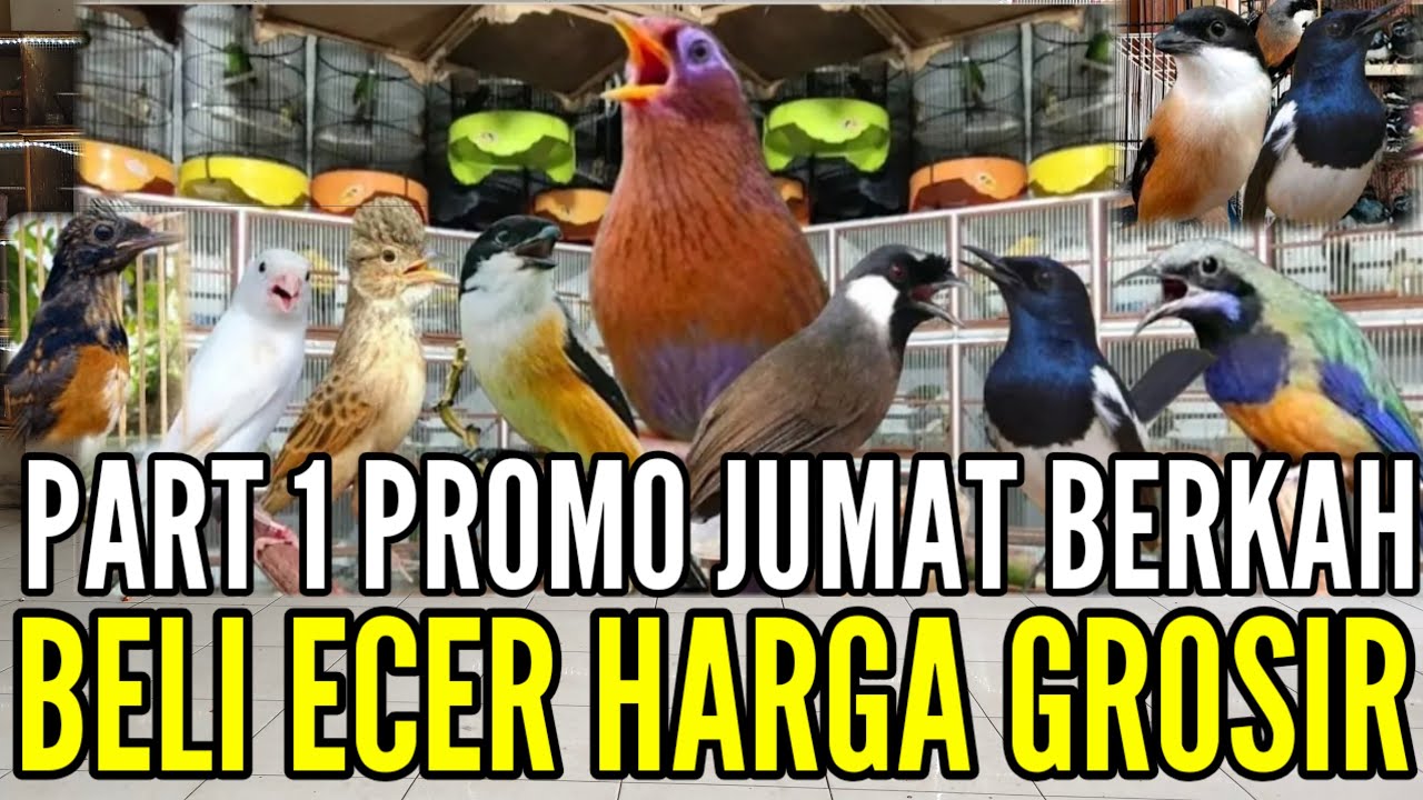🔴 BONGKAR SPESIAL JUMAT BERKAH PROMO BELI 1 HARGA GROSIR FULL STOKNYA 0838-7553-6945
