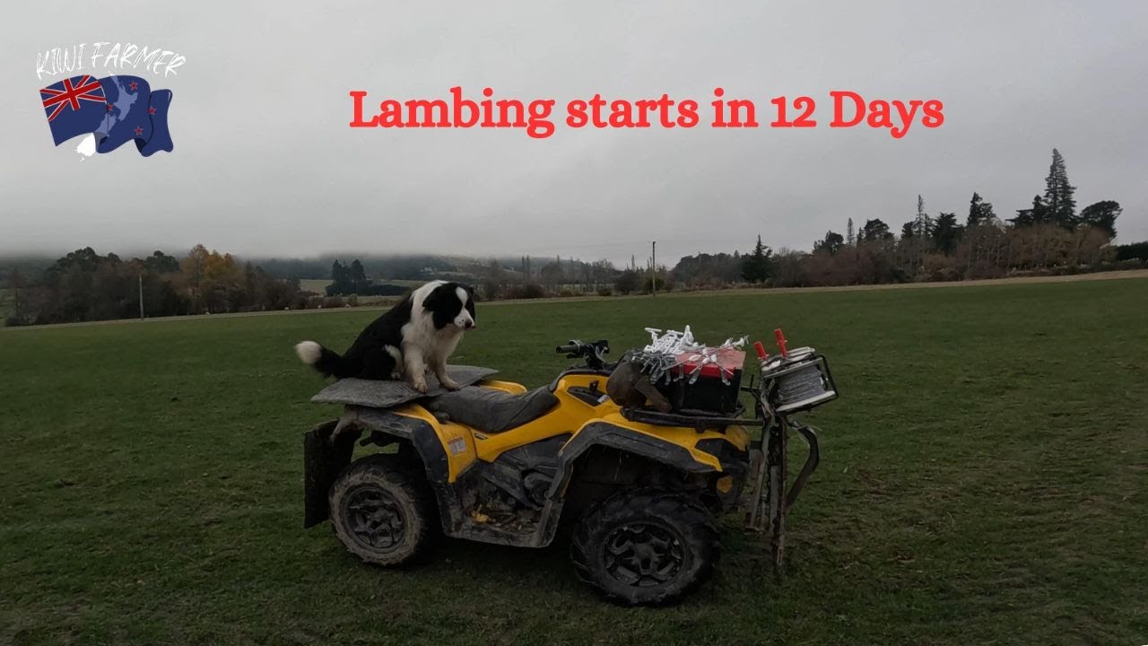 The count down to Lambing 2024 & New Farm gear