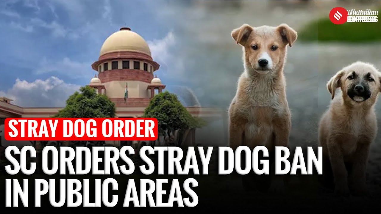 Stray Dog Case : Supreme Court Orders Removal of Strays From Schools, Hospitals & Public Places