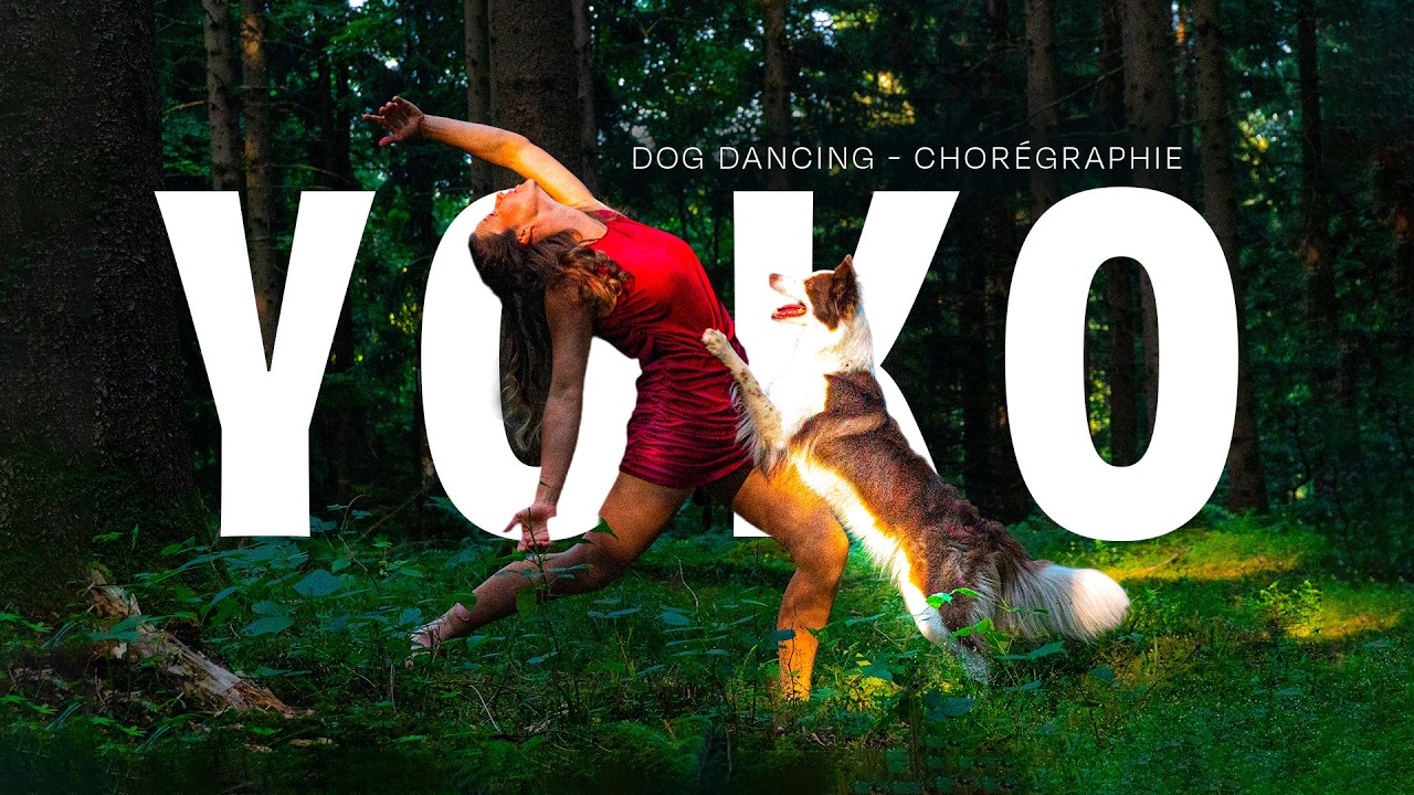 Dog dancing au coeur des ALPES avec Yoko (Border Collie) | Laetitia Gonnon - Eduzen