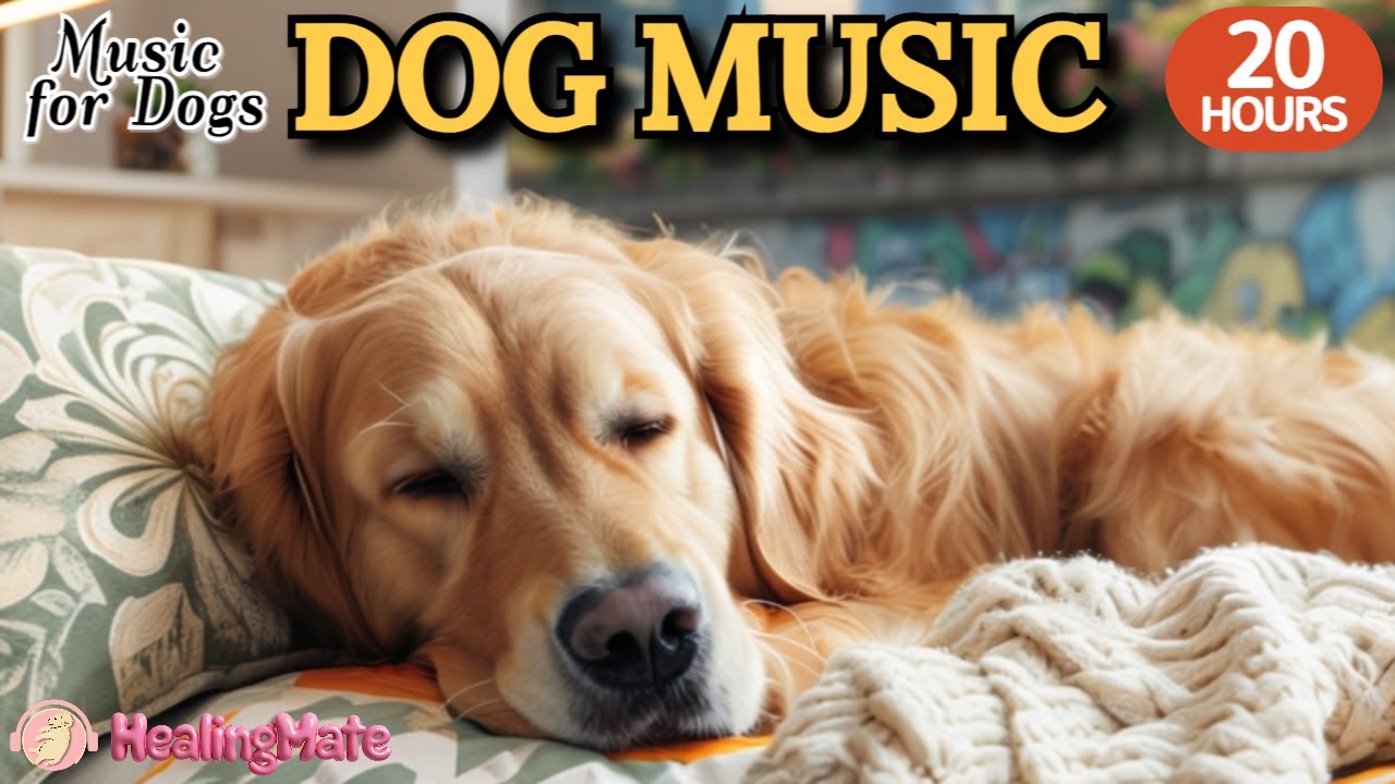강아지가 좋아하는 음악💖🦮강아지 수면 음악 20시간🐶🐾편안한 휴식을 위한 힐링음악  🎵⭐집에 혼자있는 강아지 분리불안 해소 🐶💖출근할때 외출할때 틀어주세요 by 힐링메이트