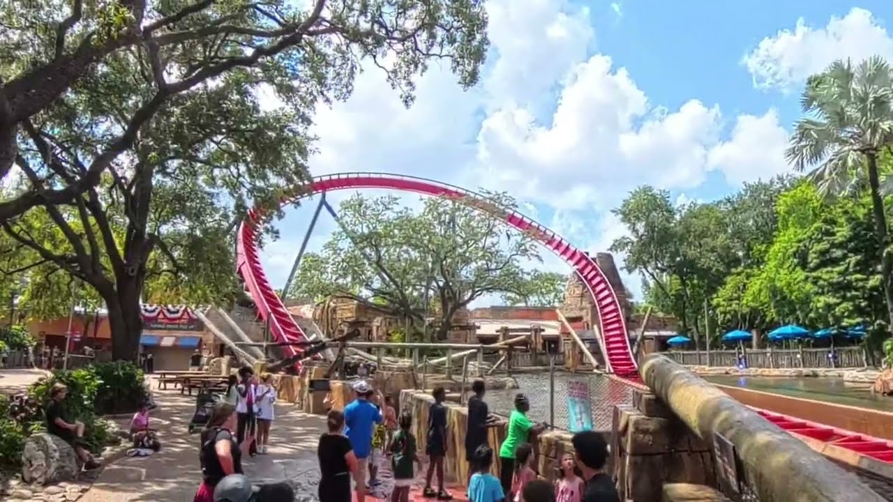 Sheikra Splash | #DREADPOOL #rollercoaster #8k