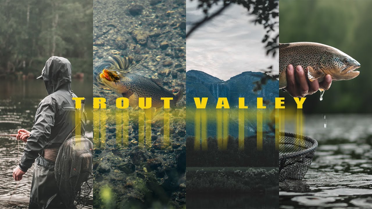 TROUT VALLEY- The search for big Norwegian trout!
