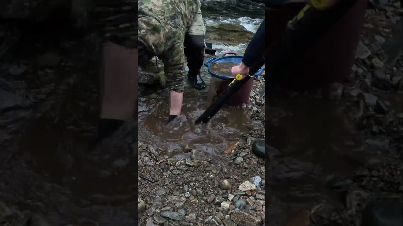 Highlands Gold Prospecting 