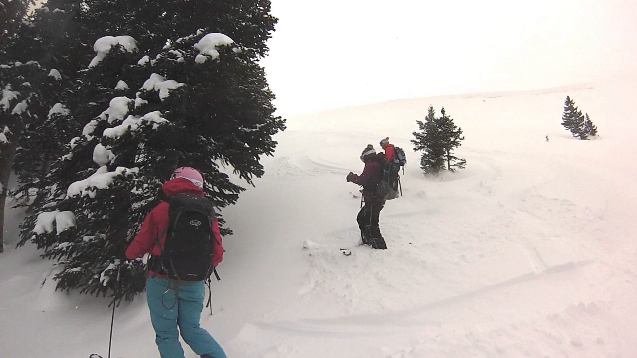 Lady Shred #womensmarchforpowder
