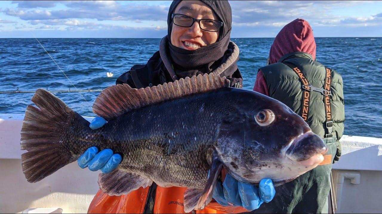 Blackfish (Tautog) Fishing NJ 2020 - They're Still Chewing!
