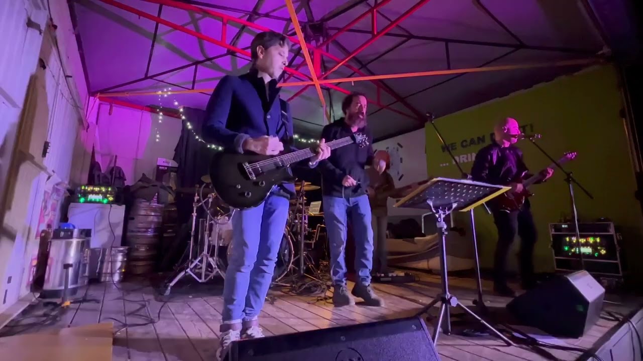 Lonely Boy cover by Whiskypedia live 