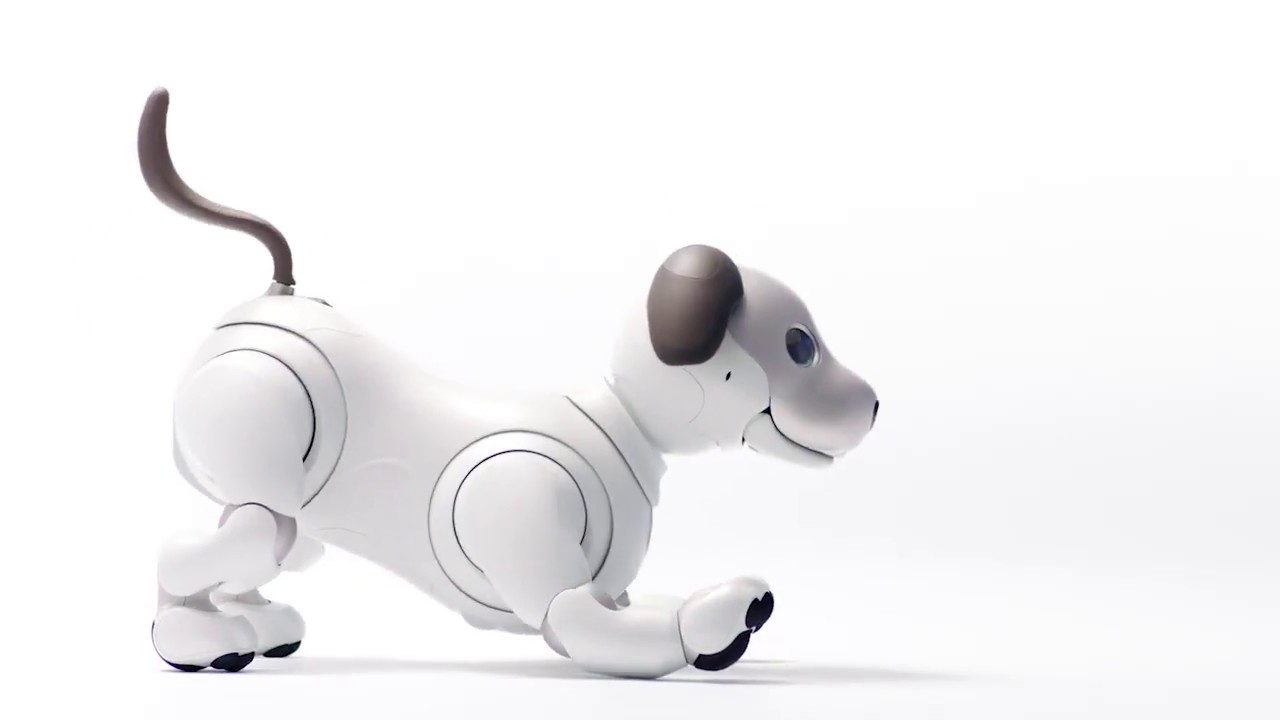 Sony aibo (2017)
