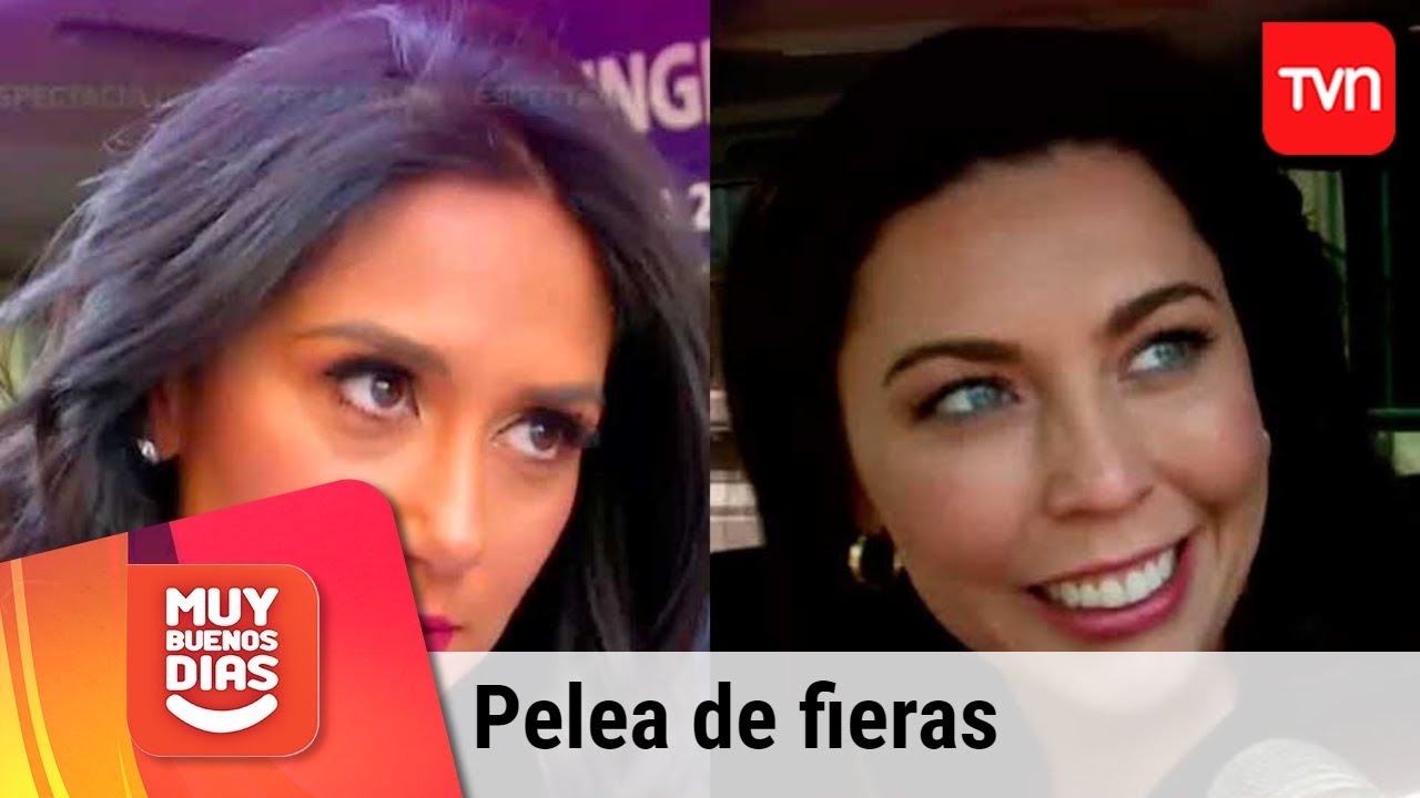 Guerra desatada entre Pamela Díaz y Daniela Arránguiz | Muy buenos días | Buenos días a todos