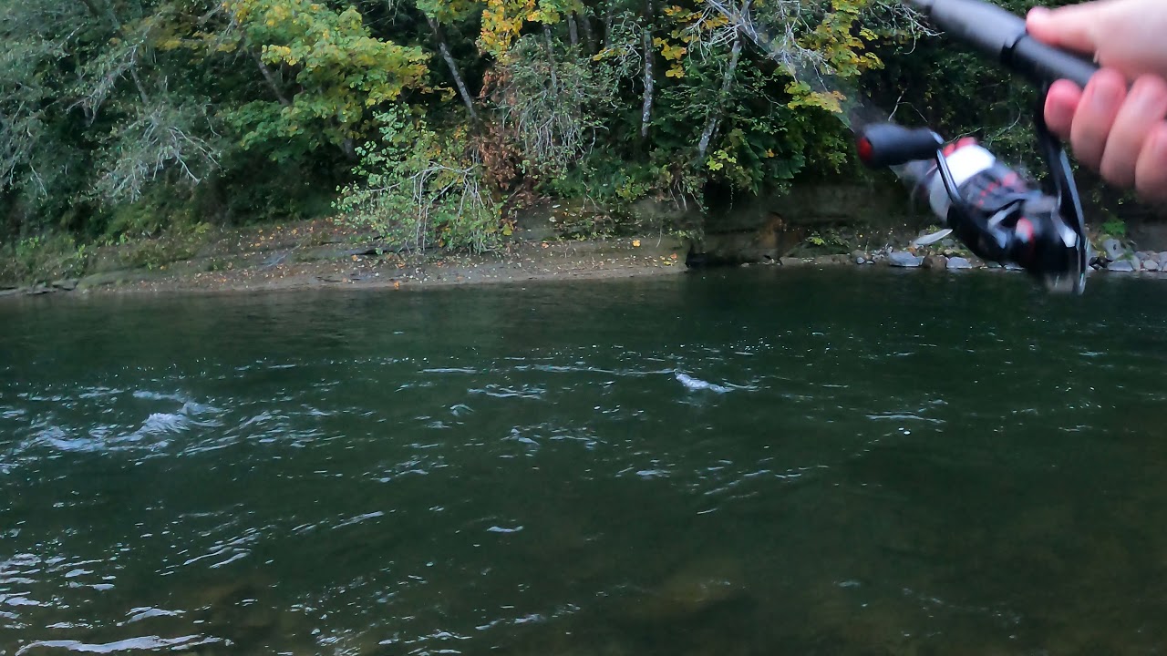 Twitching jigs and Coho salmon are jumping around