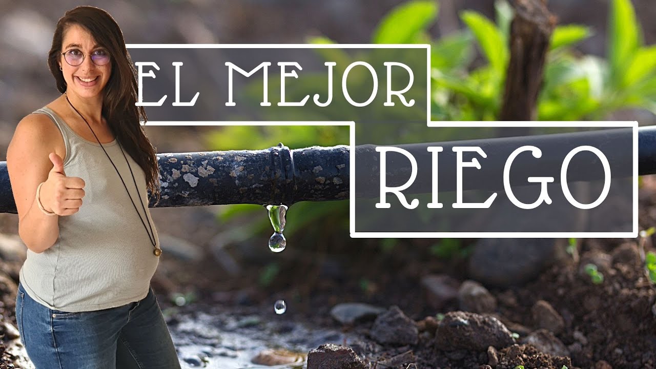 El MEJOR sistema de RIEGO para el huerto 💦🥕