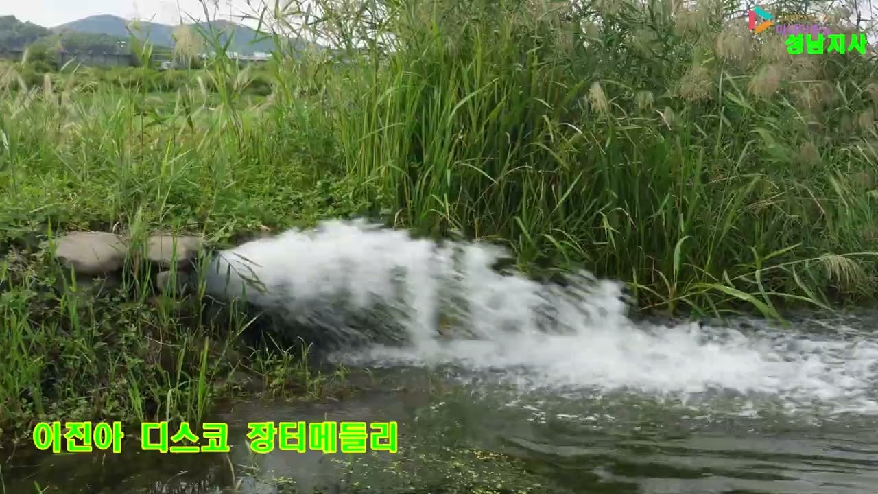 이진아 디스코 장터메들리  촬영편집 미디어주노 성남지사 가요트롯tv 홍재종 감독 구독 좋아요