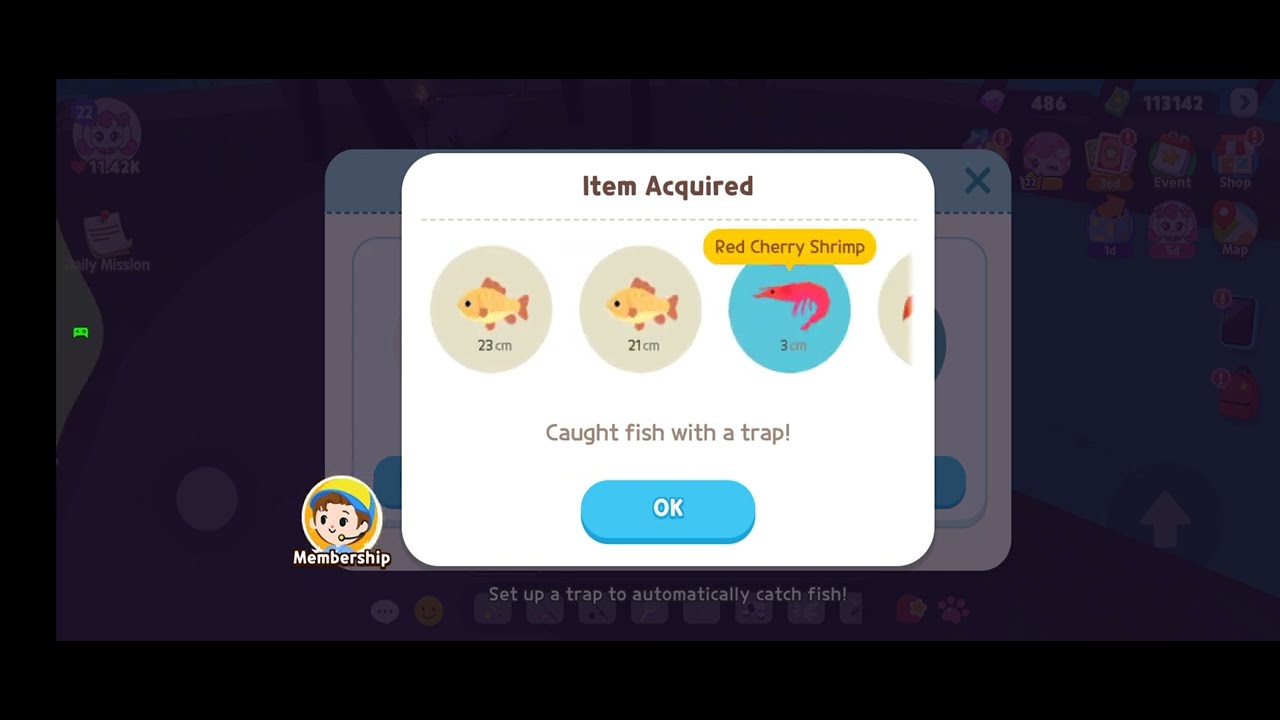 Play Together Fish - Red Cherry Shrimp and Bloody Mary Shrimp 🦐😭🦐🍤