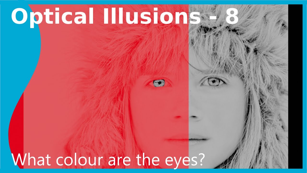 Optical Illusions - Motion binding & Colour constancy