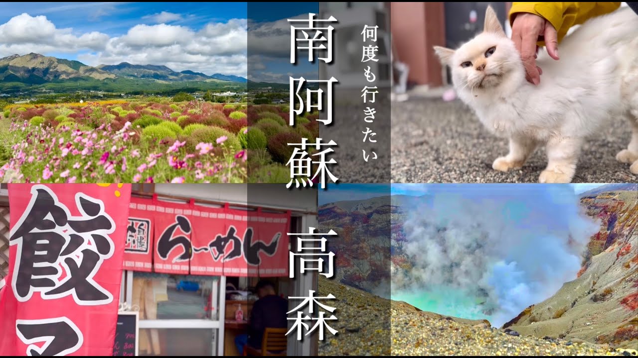 【南阿蘇 高森】 町中華食べて中岳火口を見に行こう！地域猫に再会！車中泊旅！