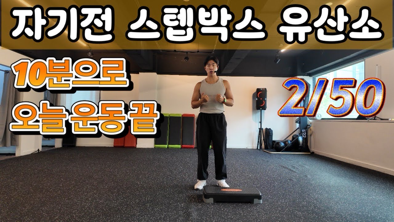 자기전 스텝박스 유산소 / 10분으로 오늘 운동 끝!!