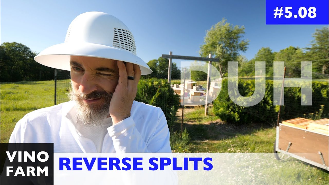 I've Been Doing This Wrong (Reverse Hive Splits!)