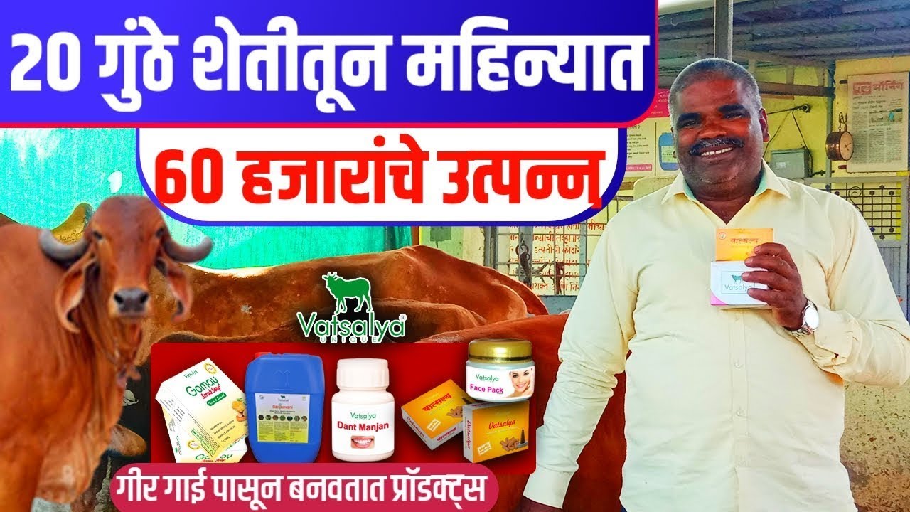 Geer Cow Farming | Gir Cow Farming | फक्त २० गुंठे शेती आणि ६ गिर गाई उत्पन्न एव्हढे ?