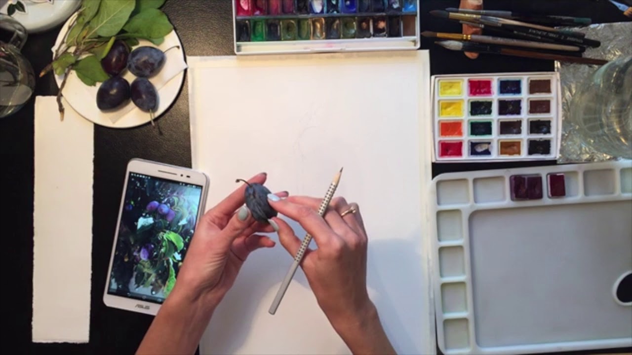 Watercolor painting plums