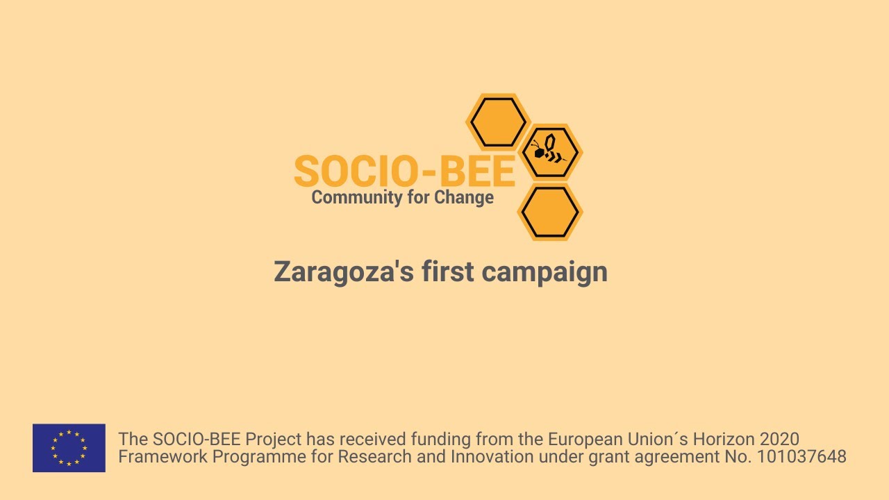 First SOCIO-BEE campaign in Zaragoza, Spain