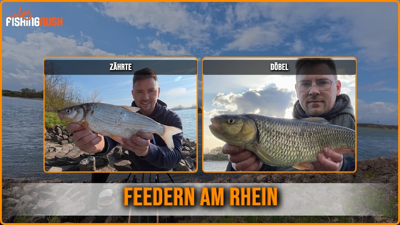 Angeln am Rhein I Folge 2: Erste Fische im M&auml;rz