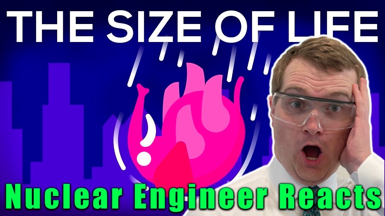 Nuclear Engineer Reacts to Kurzgesagt 
