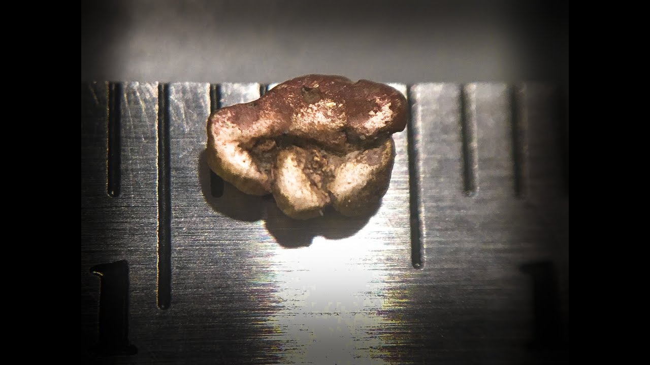 Find Gold on Vancouver Island! with VIPMA