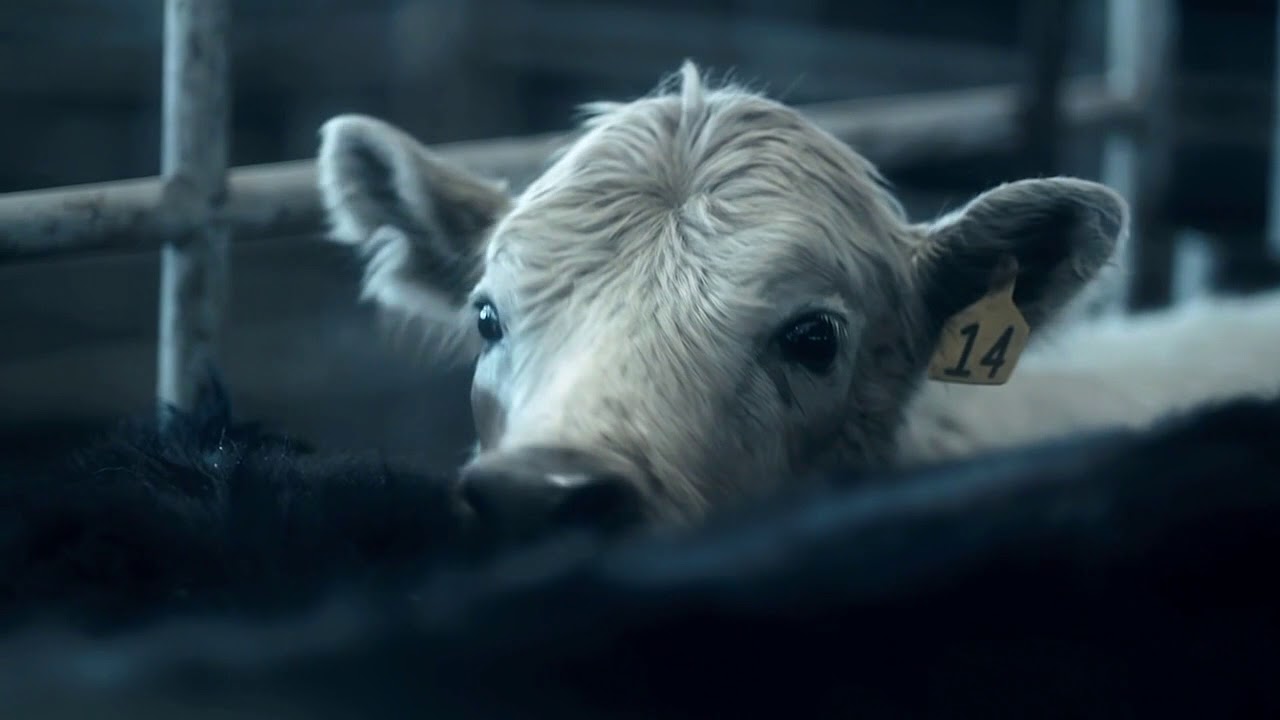 Winters Bone: The Cattle Market