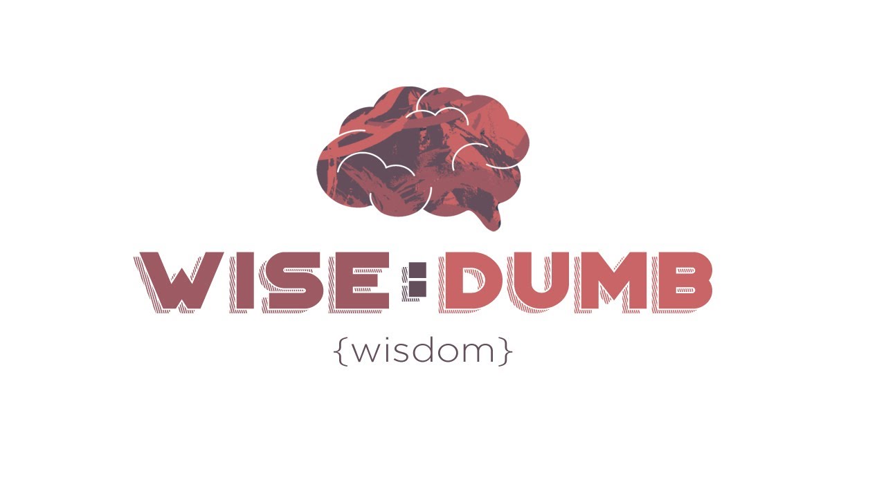 Wise:Dumb - Part. 1