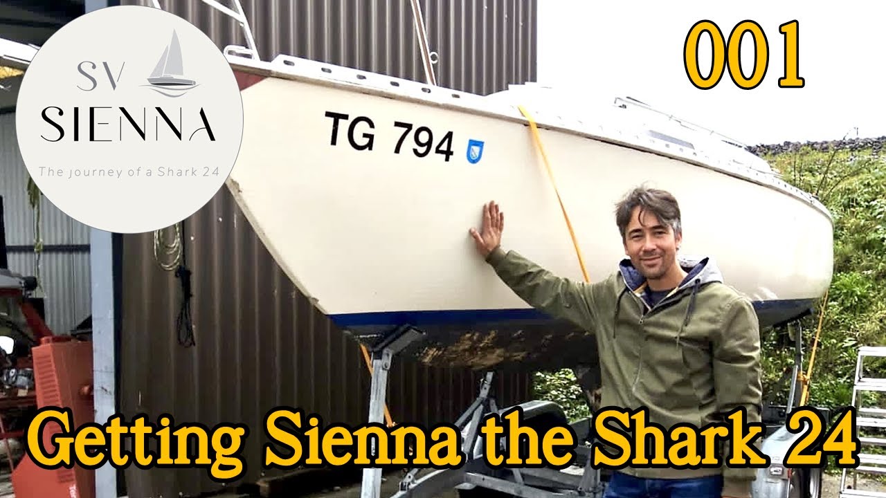 Getting Sienna the Shark 24