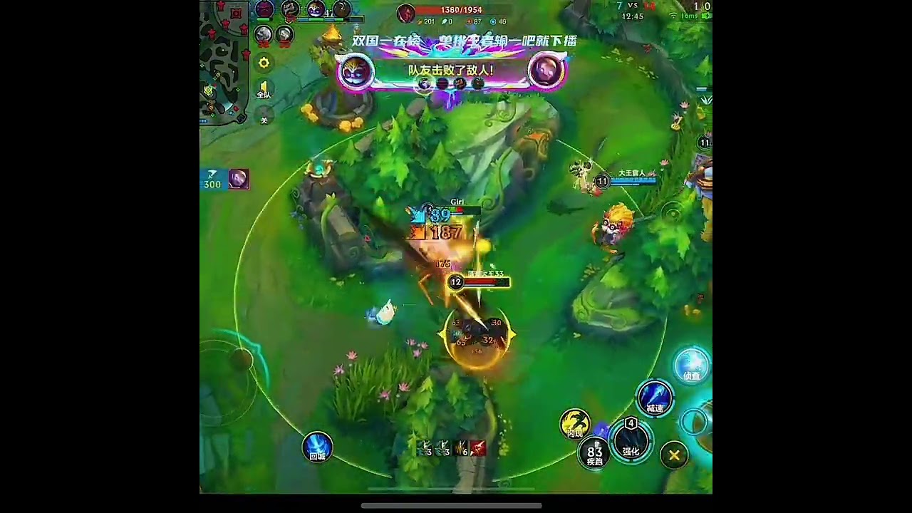 Challenger Ashe - China Server Wild Rift Best High Tier New Build 