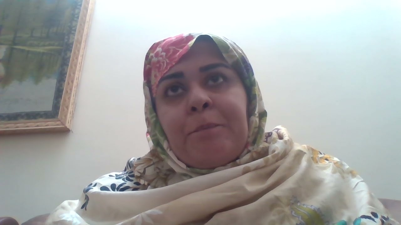 my say
