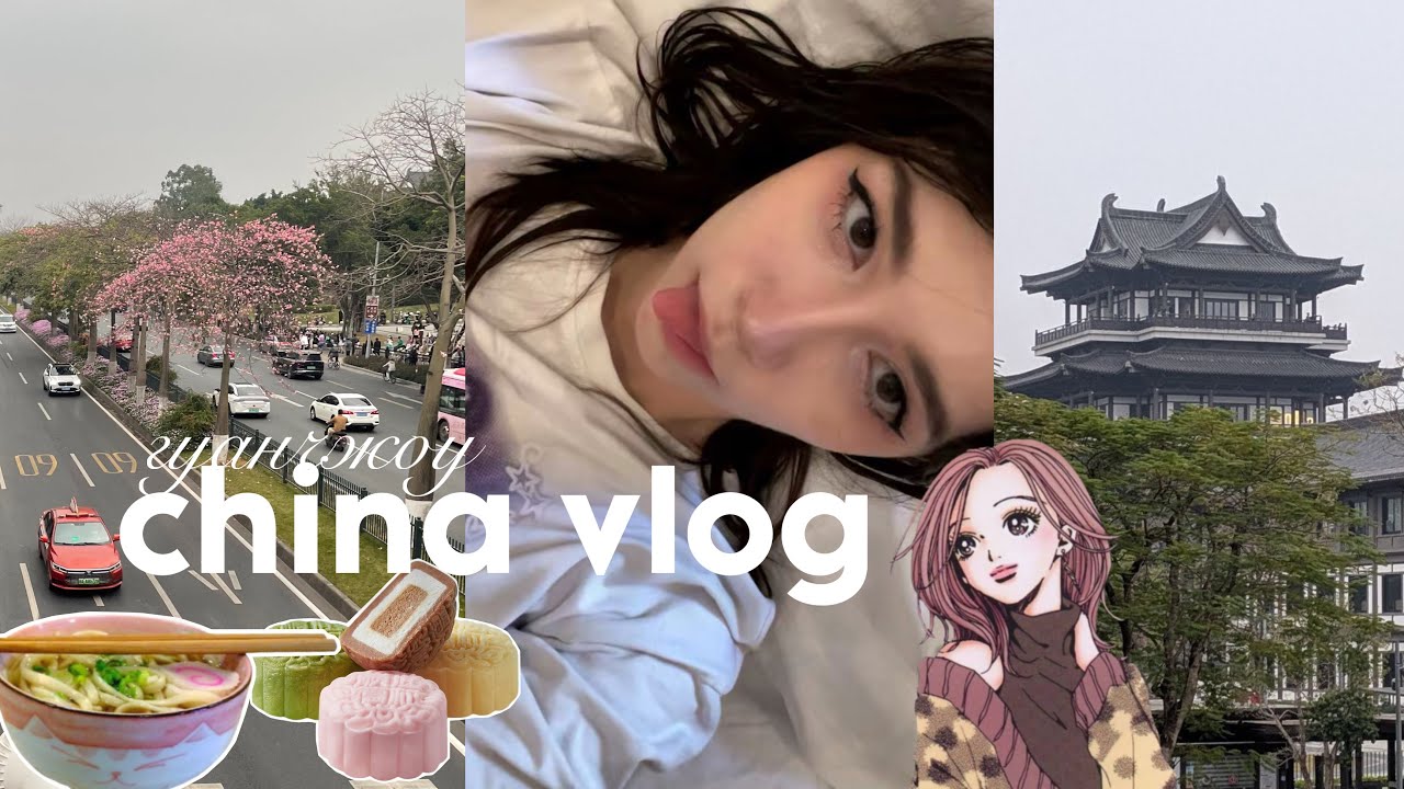 китай влог ☆ советы и цены   .+:｡ﾟ | china vlog