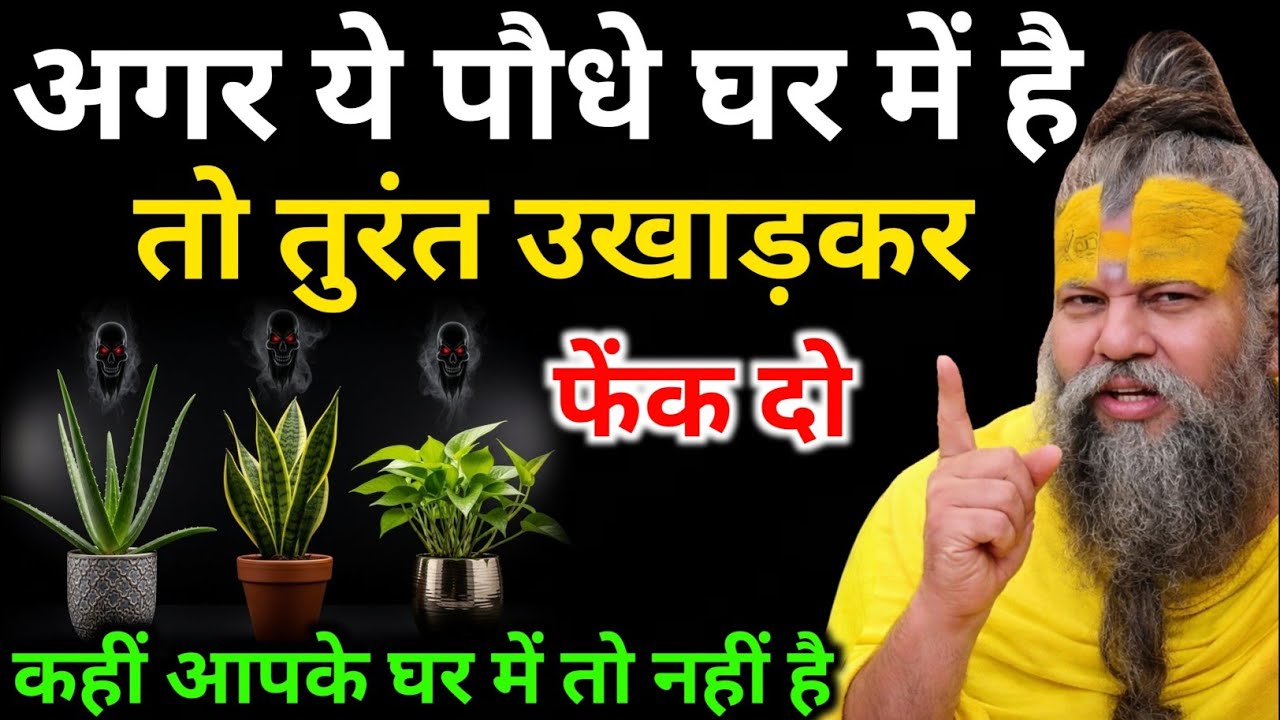 घर के सामने ये पौधे है तो तुरंत हटा दो, धन नहीं, विनाश लाते है ये पौधे | Premanand Ji Maharaj