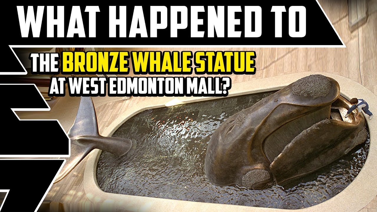 What happened to the Bronze Whale at West Edmonton Mall? - Best Edmonton Mall