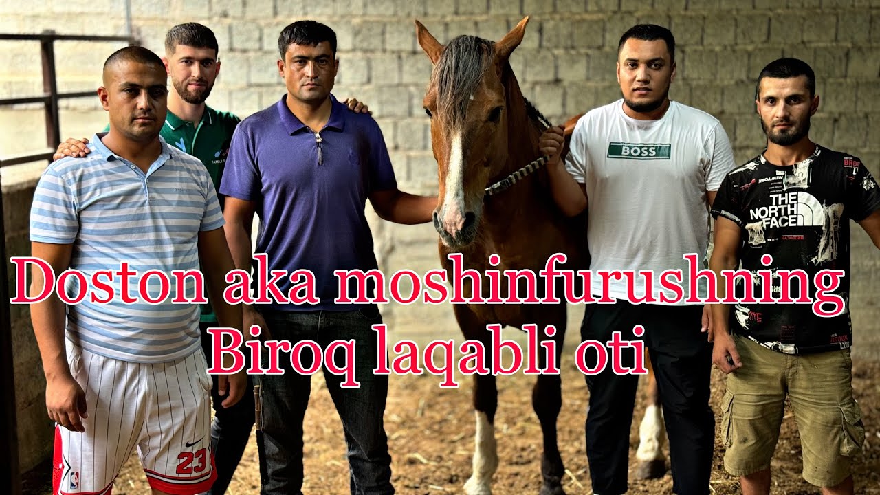 Samarqand Hushravlik Doston aka moshinfurushning Biroq laqabli oti abzor.