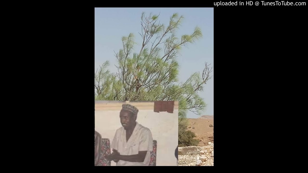 Hees QARAAMI ah (RIFDOON)